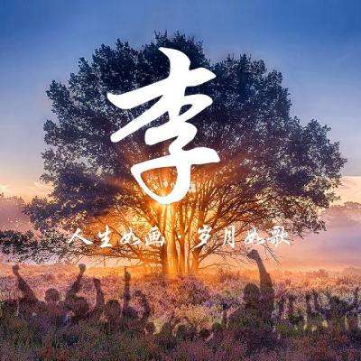 天天来战游戏下载